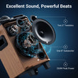 Load image into Gallery viewer, TONOR K20 Portable Bluetooth Speaker with 2 Wireless Microphones
